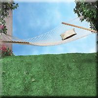 COTTON HAMMOCK