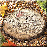 GET OUT AND HIKE STEPPING STONE