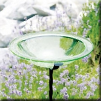 GLASS BIRD BATH BOWL IRON LIGHT GREEN