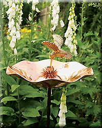 HUMMINGBIRD BIRD BATH