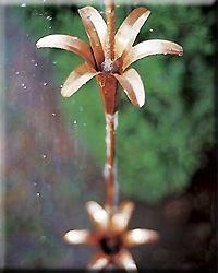 Lily Rain Chain