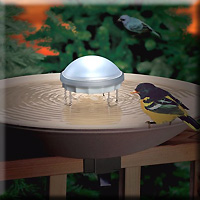 AURORA WATER WIGGLER