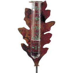 Oak Leaf Rain Gauge