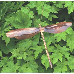 STAKED K D DRAGONFLY