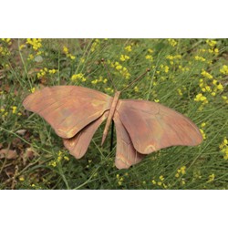 Butterfly Staked Flamed Copper