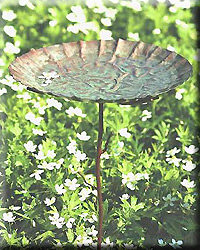 COPPERPLATED VERDIGRIS STAKED