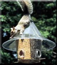 MANDARIN FEEDER WITH DIVIDERS NEW ARCH PORTS