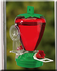 Strawberry Window Feeder 12 oz