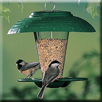 Snack Bar Bird Feeder