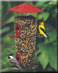 Combo Song Bird Thistle Feeder