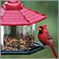 Gazebo Bird Feeder