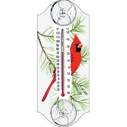 Cardinal Window In or Outdoor Thermometer