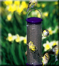 Purple Nyjer Mesh Feeder Small