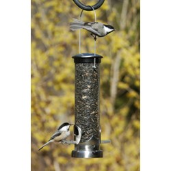 SEED TUBE SMALL BRUSHED NICKEL QUICK CLEAN BASE