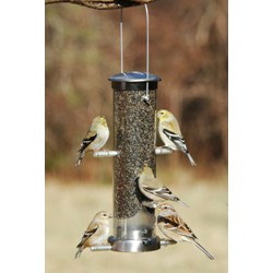THISTLE TUBE SMALL BRUSHED NICKEL QUICK CLEAN BASE