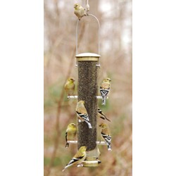 THISTLE TUBE MEDIUM ANTIQUE BRASS QUICK CLEAN BASE
