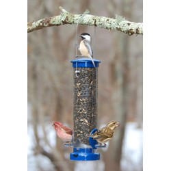 SEED TUBE SMALL BLUE
