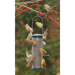 Small Nyjer Mesh Feeder Spruce