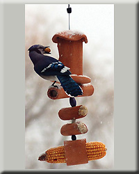 PIPPIN SUET FEEDER