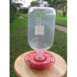 HUMMINGBIRD FEEDER 72 OZ