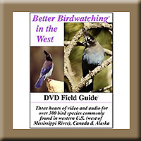 BETTER BIRD WATCHING DVD