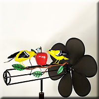 GOLDFINCHES AND APPLE GIG WITH NYLON PROP
