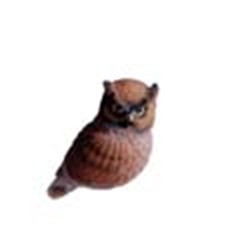 Barn and Screech Owl Window Magnet