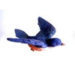 Blue Bird Window Magnet
