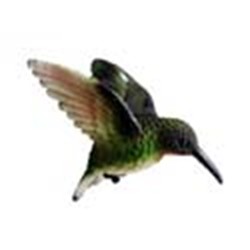 RUBY THROATED HUMMINGBIRD WINDOW MAGNET