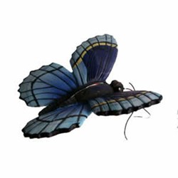 Blue Butterfly Widow Magnet