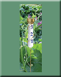 GRANDE VIEW RAIN GAUGE SPIRAL STAKE BRASS