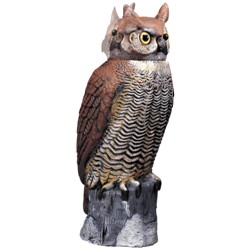 OWL WITH ROTATING HEAD