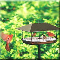 Champion Squirrel Blocker Platform Feeder