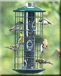 METAL SUNFLOWER HAVEN FEEDER