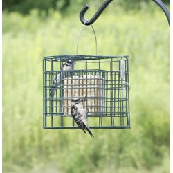 SUET SANCTUARY