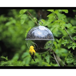 CLING A WING SMALL GLOBE BIRD FEEDER