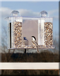 SUPER SONGBIRD ONE WAY MIRROR WINDOW BIRD FEEDER