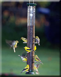 GREEN METAL BIRD FEEDER 23IN WITH 8 PORTS