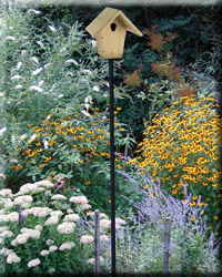 ULTIMATE NEST BOX SYSTEM