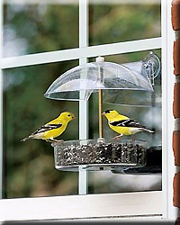 WINDOW BIRD FEEDER