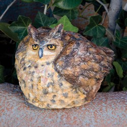 Owl Portly Medium