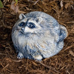 RACCOON PORTLY MEDIUM