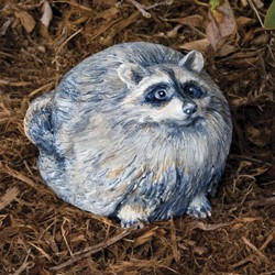 RACCOON PORTLY LARGE