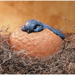 BARRY BLUEBIRD PORTLY MEDIUM