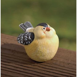 Gloria Goldfinch Portly Medium