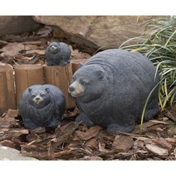 BEAR PORTLY MEDIUM
