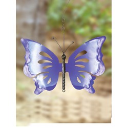 BLUE VIOLET BUTTERFLY SMALL