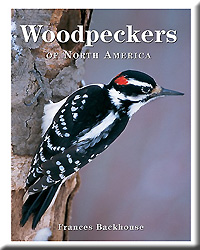 WOODPECKER BOOK