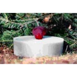 WILD BIRD SUPER SOLAR SIPPER WHITE