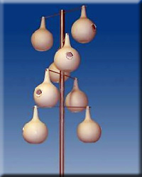 PM Gourd Pole Kit 8 Piece Dbl Spiral Design